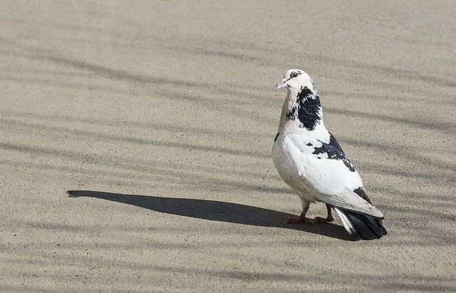 img3.webp