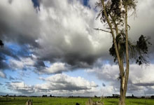 记者批姆巴佩：姆巴佩状态不像职业球员.