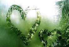 真正的多面手,丹麦门将沃贝本赛季在球队改打右边前卫.